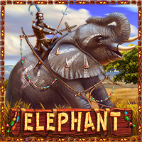  ELEPHANT
